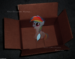 Size: 1281x1013 | Tagged: dead source, safe, artist:capt-nemo, artist:ponieswithcarsrule, artist:yourfavoritesenpai, character:rainbow dash, fanfic:my little dashie, cardboard box, feather, filly rainbow dash, ghostly, irl, looking up, open mouth, photo, ponies in real life, quote, reference, sitting, smiling, solo, vector