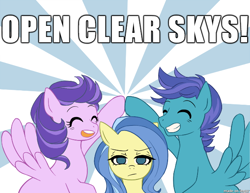 Size: 610x470 | Tagged: safe, artist:buryooooo, character:clear skies, character:open skies, character:sunshower, episode:tanks for the memories, g4, my little pony: friendship is magic, misspelling, open clear skies, unamused, who's on first?