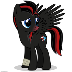 Size: 894x894 | Tagged: safe, artist:larsurus, oc, oc only, oc:dainty dish, species:pegasus, species:pony, ponified, simple background, solo, sr-71 blackbird, transparent background