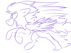 Size: 1024x768 | Tagged: safe, artist:dizzee-toaster, character:soarin', species:pony, male, monochrome, running, simple background, solo, white background