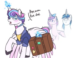 Size: 1169x911 | Tagged: safe, artist:annielith, character:princess cadance, character:princess flurry heart, character:shining armor, species:alicorn, species:pony, species:unicorn, spoiler:s06, dialogue, female, luggage, luggage stickers, magic, male, mare, older, older flurry heart, open mouth, raised hoof, stallion, suitcase, telekinesis