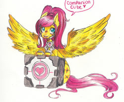 Size: 1280x1056 | Tagged: safe, artist:techtechno, character:fluttershy, alternate hairstyle, clothing, companion cube, cosplay, costume, dialogue, female, looking at you, otakufluttershy, portal, portal (valve), sitting, solo, speech bubble, spread wings, traditional art, wings