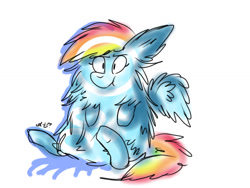 Size: 1024x768 | Tagged: safe, artist:dizzee-toaster, character:rainbow dash, female, fluffy, simple background, solo, white background
