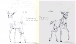 Size: 2051x1179 | Tagged: safe, artist:wisdom-thumbs, oc, oc only, species:deer, lined paper, monochrome, pencil drawing, skull, swordpony, traditional art