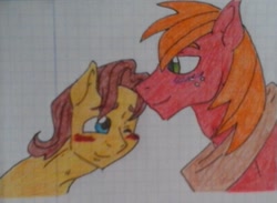 Size: 1187x871 | Tagged: safe, artist:tejedora, character:big mcintosh, character:caramel, species:earth pony, species:pony, ship:caramac, gay, graph paper, lined paper, male, shipping, stallion, traditional art