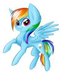 Size: 1024x1292 | Tagged: safe, artist:solweig, character:rainbow dash, chest fluff, female, solo