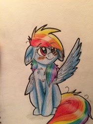 Size: 2448x3264 | Tagged: safe, artist:snowfoxythefox, derpibooru original, character:rainbow dash, blushing, chest fluff, chibi, colored, colored pencil drawing, colored sketch, cute, dashabetes, female, floppy ears, smiling, solo, traditional art, wingboner, wings, young