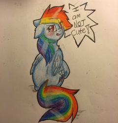Size: 2448x2553 | Tagged: safe, artist:snowfoxythefox, derpibooru original, character:rainbow dash, adashable, angry, ballpoint pen, blatant lies, blushing, colored, colored pencil drawing, colored sketch, cute, dashabetes, dialogue, female, floppy ears, i'm not cute, pencil, pencil drawing, scrunchy face, simple background, solo, speech bubble, talking, talking to viewer, traditional art, tsunderainbow, tsundere