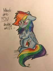 Size: 2448x3264 | Tagged: safe, artist:snowfoxythefox, character:rainbow dash, angry, blushing, blushing profusely, chest fluff, colored, colored pencil drawing, colored sketch, crossed arms, cute, dashabetes, dialogue, female, floppy ears, i'm not cute, pencil, pencil drawing, scrunchy face, solo, speech bubble, talking, talking to viewer, traditional art, tsunderainbow, tsundere
