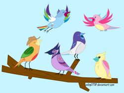 Size: 9639x7264 | Tagged: safe, artist:adog0718, character:applejack, character:fluttershy, character:pinkie pie, character:rainbow dash, character:rarity, character:twilight sparkle, species:bird, ponyscape, absurd resolution, ajay, applejack's hat, avian six, birdified, clothing, cowboy hat, flutterfinch, flutterkeet, flying, hat, inkscape, mane six, pinkiepecker, ponkbird, rainbowthatch, raricanary, songbird, species swap, tree branch, twijay, vector