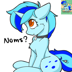 Size: 2000x2000 | Tagged: safe, artist:billysan727, oc, oc only, oc:hoers, species:pony, species:unicorn, pony town, chest fluff, collar, cute, fluffy, noms, solo
