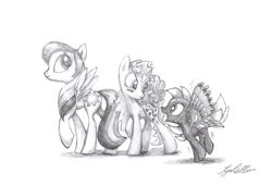 Size: 2709x1853 | Tagged: safe, artist:syncallio, character:morning glory, g1, buzzer (g1), g1 to g4, generation leap, pencil drawing, race swap, starshine, summer wing ponies, traditional art, winger pony