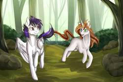 Size: 1800x1200 | Tagged: safe, artist:hazepages, oc, oc only, species:pegasus, species:pony, species:unicorn, female, forest, heterochromia, male, mare, running, stallion