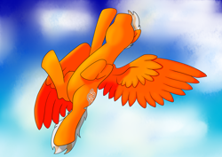 Size: 4092x2893 | Tagged: safe, artist:saxpony, oc, oc only, oc:steel wing, species:pegasus, species:pony, absurd resolution, flying, male, solo, stallion