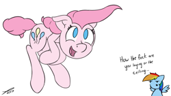 Size: 1665x936 | Tagged: safe, artist:platenjack, character:pinkie pie, character:rainbow dash, species:pony, fourth wall, fourth wall break, in which pinkie pie forgets how to gravity, pinkie being pinkie, pinkie physics, simple background, vulgar