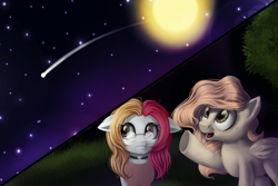 Size: 900x600 | Tagged: safe, artist:ailatf, oc, oc only, species:earth pony, species:pegasus, species:pony, duo, female, floppy ears, full moon, looking up, mare, moon, night, shooting star, smiling, starry night, stars