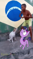 Size: 406x720 | Tagged: safe, artist:deadlycomics, artist:epiclper, character:twilight sparkle, character:twilight sparkle (alicorn), species:alicorn, species:dog, species:human, species:pony, after effects, animal crossing, animated, brazil, brazilian portuguese, dance till you're dead, dancing, frame by frame, irl, irl dog, irl human, meme, mistake, motion tracking, photo, sound, wat, webm