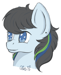 Size: 533x657 | Tagged: safe, artist:xaik0x, oc, oc only, oc:v2, species:pegasus, species:pony, simple background, solo, transparent background