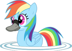 Size: 994x700 | Tagged: safe, artist:twitchy-tremor, character:rainbow dash, species:bird, species:duck, species:pegasus, species:pony, animal, duck bill, duck pony, female, goose, literal duck face, mare, pegaduck, rainbow duck, simple background, solo, swan, swimming, transparent background
