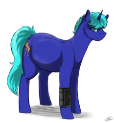 Size: 863x925 | Tagged: safe, artist:scarletsfeed, oc, oc only, oc:dragonfly, species:pony, species:unicorn, fallout equestria, fallout, fallout equestria: child of the stars, female, mare, pregnant, solo