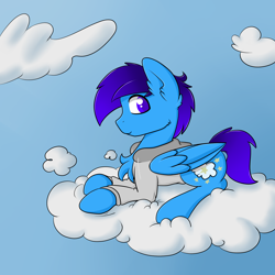 Size: 2000x2000 | Tagged: safe, artist:billysan727, oc, oc only, oc:cloud gazer, species:pegasus, species:pony, chest fluff, clothing, cloud, cutie mark, ear fluff, hoodie, hooves, lying on a cloud, male, on a cloud, solo, stallion, wings