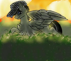 Size: 406x350 | Tagged: safe, artist:hazepages, artist:z.z., base used, oc, species:pegasus, species:pony, chest fluff, clothing, hat, male, solo, stallion, sunset