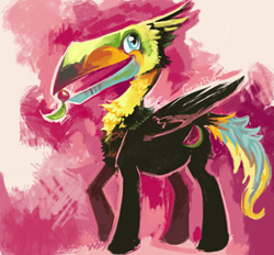 Size: 1795x1666 | Tagged: safe, artist:graypaint, oc, oc only, oc:tony, male, toucan, toucan pony, traditional art