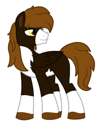 Size: 912x1179 | Tagged: safe, artist:piñita, oc, oc:punish mittet, species:pegasus, species:pony, pale belly, pinto, simple background, socks (coat marking), two toned coat, vector, white background