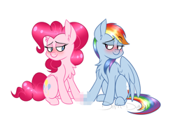 Size: 1280x908 | Tagged: safe, artist:dippin-dott, character:pinkie pie, character:rainbow dash, species:earth pony, species:pegasus, species:pony, ship:pinkiedash, blushing, censored, chest fluff, female, holding hooves, hoof touching, lesbian, looking at each other, mare, shipping, simple background, sitting, smiling, unnecessary censorship, very fucking necessary censorship, white background