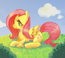 Size: 1100x980 | Tagged: safe, artist:ikirunosindo, character:fluttershy, species:pegasus, species:pony, cute, female, lying down, mare, prone, shyabetes, smiling, solo