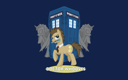 Size: 1440x900 | Tagged: safe, artist:hezaa, edit, editor:fullmetal-landon, character:doctor whooves, character:time turner, species:pony, doctor who, male, ponified, solo, sonic screwdriver, statue, tardis, tenth doctor, the doctor, wallpaper, wallpaper edit, weeping angel