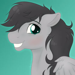 Size: 1600x1600 | Tagged: safe, artist:acry-artwork, oc, oc:helicity, species:pegasus, species:pony, bust, grin, male, portrait, smiling, solo, stallion