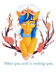 Size: 1100x1400 | Tagged: safe, artist:hazepages, oc, oc only, species:alicorn, species:pony, bust, collar, flower, male, portrait, simple background, solo, stallion, transparent background