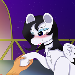Size: 3000x3000 | Tagged: safe, artist:rarityismywaifu, oc, oc:lamika, species:human, species:pegasus, species:pony, blushing, collar, cute, female, freckles, hand, holding hooves, hoof hold, human on pony hoof holding, interspecies, lidded eyes, lipstick, makeup, mare, offscreen character, sitting, solo focus