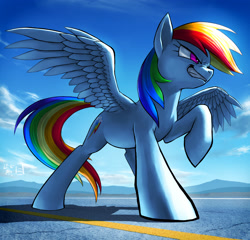 Size: 2500x2400 | Tagged: safe, artist:murskme, character:rainbow dash, species:pegasus, species:pony, female, grin, kanji, mare, mountain, smiling, solo, spread wings, wings