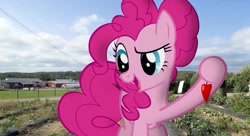 Size: 809x439 | Tagged: safe, artist:faze-alan-mskull2019, character:pinkie pie, species:pony, chili, dreamworks face, farm, farmer, food, garden, irl, my little pony, pepper, pepper chili, photo, ponies in real life