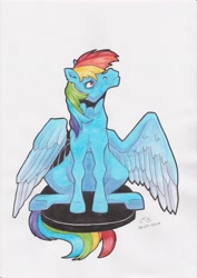 Size: 2480x3508 | Tagged: safe, artist:reptilianbirds, character:rainbow dash, species:pegasus, species:pony, female, looking up, mare, semi-realistic, simple background, sitting, solo, traditional art, white background