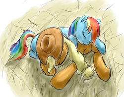 Size: 809x635 | Tagged: safe, artist:vabla, character:applejack, character:rainbow dash, species:earth pony, species:pegasus, species:pony, ship:appledash, female, lesbian, mare, pony pillow, shipping, smiling