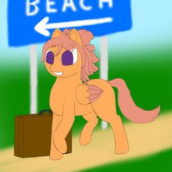 Size: 1000x1000 | Tagged: safe, artist:shoophoerse, oc, oc:shoop, species:pegasus, species:pony, newbie artist training grounds, atg 2019, sign, solo, suitcase