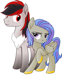 Size: 5240x6332 | Tagged: safe, artist:kopcap94, oc, oc:loki smile, oc:melody smile, species:pegasus, species:pony, absurd resolution, brother and sister, female, male, mare, siblings, simple background, stallion, transparent background, vector