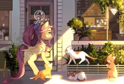 Size: 2039x1378 | Tagged: safe, alternate version, artist:xieyanbbb, character:fluttershy, species:pegasus, species:pony, episode:the last problem, g4, my little pony: friendship is magic, cafe, cat, coffee shop, crepuscular rays, cute, dawwww, female, fixed, looking at something, mare, older, older fluttershy, outdoors, plant, scenery, shyabetes, smiling