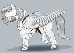 Size: 2649x1917 | Tagged: safe, artist:caff, oc, oc only, oc:lumi, species:pegasus, species:pony, commission, male, solo, stallion