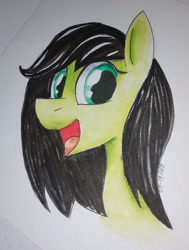 Size: 2017x2664 | Tagged: safe, artist:dreadlime, oc, oc only, oc:filly anon, species:earth pony, species:pony, female, filly, solo, traditional art, watercolor painting