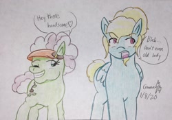 Size: 2196x1536 | Tagged: safe, artist:gmangamer25, character:auntie applesauce, character:zephyr breeze, species:earth pony, species:pegasus, species:pony, female, male, mare, stallion, traditional art