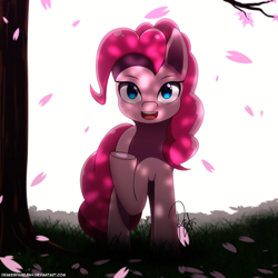 Size: 1500x1500 | Tagged: safe, artist:drakesparkle44, character:pinkie pie, species:earth pony, species:pony, cherry blossoms, cute, dappled sunlight, diapinkes, female, flower, flower blossom, looking at you, mare, open mouth, raised hoof, sakura pie, solo, tree