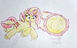 Size: 4008x2486 | Tagged: safe, artist:gmangamer25, character:sunset shimmer, species:pony, species:unicorn, ball, crossover, female, homing attack, jumping, mare, motion lines, rolling, shimmerball, sonic the hedgehog (series), spin dash, traditional art