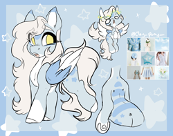Size: 2730x2154 | Tagged: safe, artist:missclaypony, oc, species:pegasus, species:pony, female, mare, moodboard, reference sheet, solo, two toned wings, wings