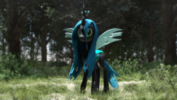 Size: 3840x2160 | Tagged: safe, artist:freasaloz, character:queen chrysalis, species:changeling, 3d, changeling queen, female, forest, solo, source filmmaker