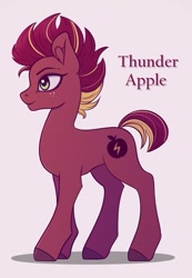 Size: 417x604 | Tagged: safe, artist:silverst, oc, oc:thunder apple, parent:big macintosh, parent:tempest shadow, parents:tempestmac, species:earth pony, species:pony, earth pony oc, female, mare, offspring, simple background, white background