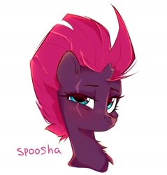 Size: 1756x1836 | Tagged: safe, artist:spoosha, character:fizzlepop berrytwist, character:tempest shadow, species:pony, species:unicorn, blushing, broken horn, bust, chest fluff, cute, ear fluff, eye scar, female, horn, mare, portrait, scar, simple background, solo, tempestbetes, white background